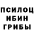 Галлюциногенные грибы Cubensis Artur Safoval