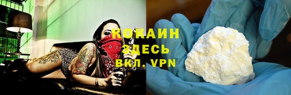 тгк Алзамай