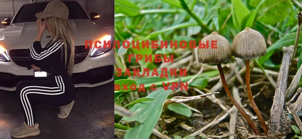 тгк Алзамай