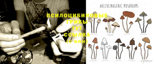 герыч Алексеевка