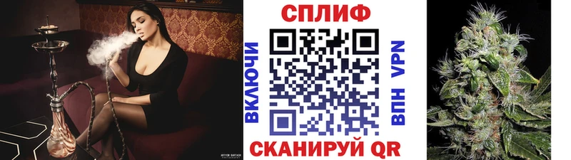 Марихуана Bruce Banner Александровское