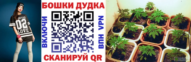 наркотики Александровское даркнет состав Марихуана индика KRAKEN ONION